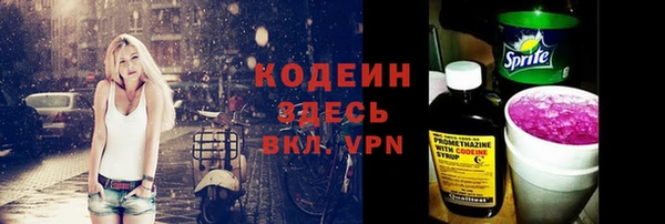 сатива Новодвинск
