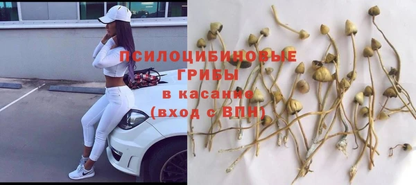 mix Армянск