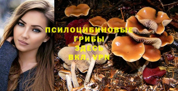 метадон Арсеньев