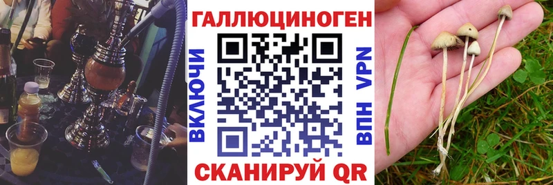 Псилоцибиновые грибы MAGIC MUSHROOMS  Буй 
